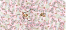 Roze tricot paneel met engelen